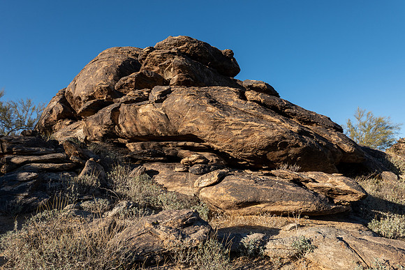 Arizona 2021
