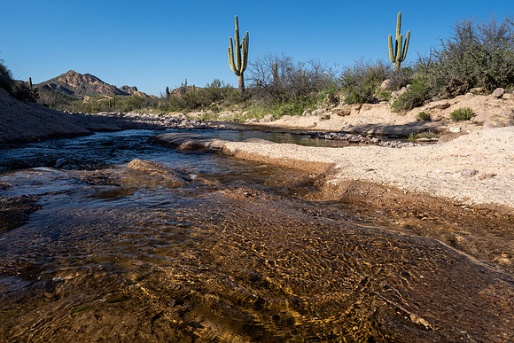 Arizona 2020