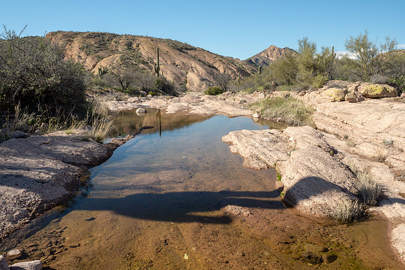Arizona 2019