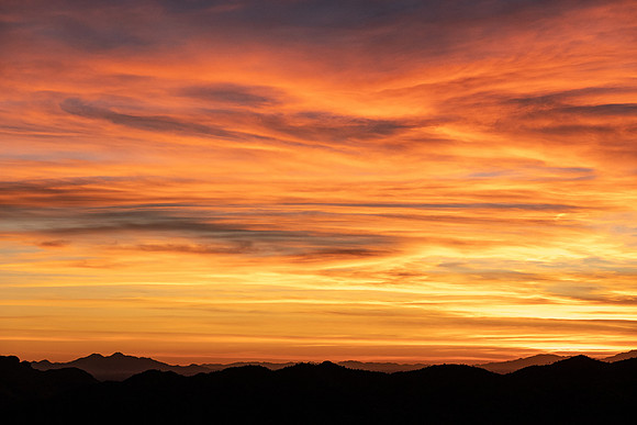 Arizona 2019