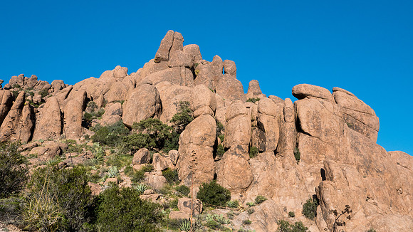 Arizona 2015 - Superstitions Ridge Hike (Mar)