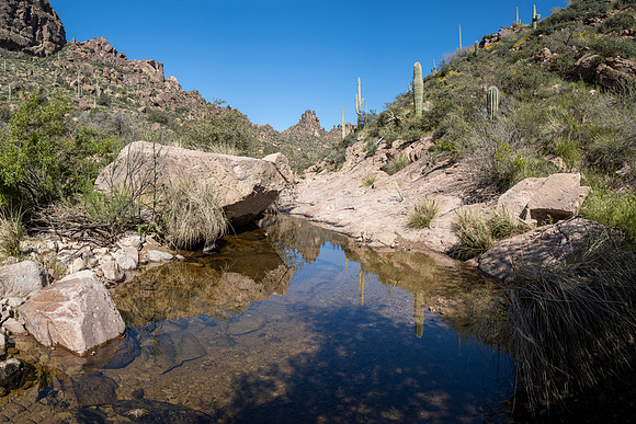 Arizona 2020