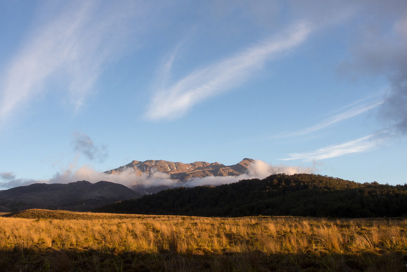 New Zealand 2013