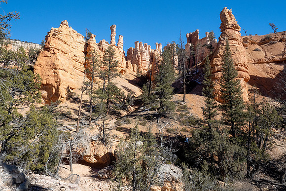 Bryce Canyon National Park 2022
