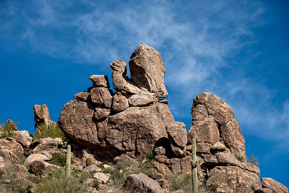 Arizona 2019