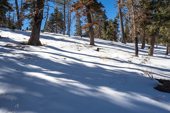 Bryce Canyon National Park 2022