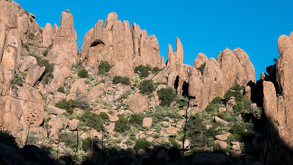 Arizona 2015 - Superstitions Ridge Hike (Mar)