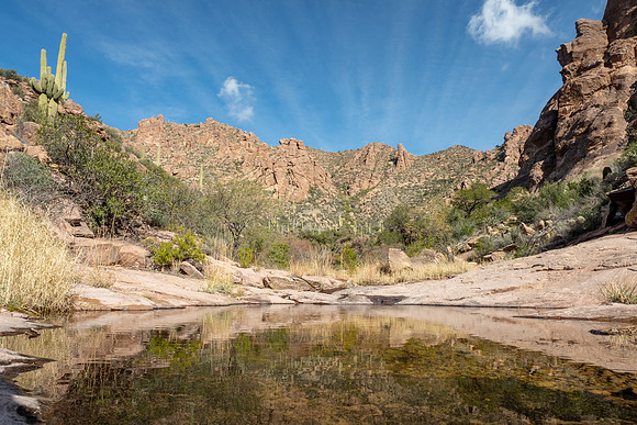 Arizona 2019