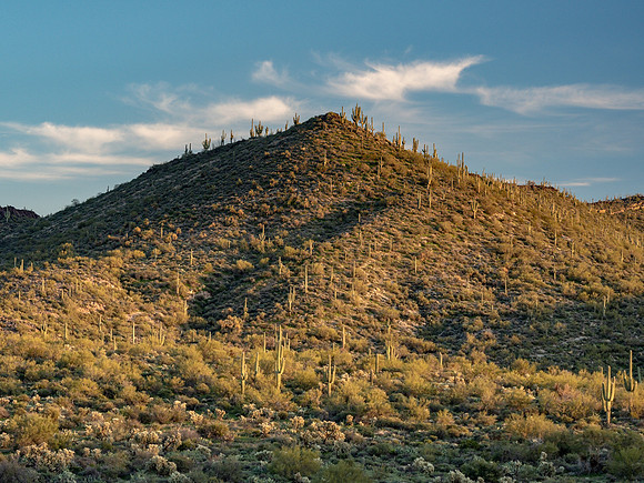 Arizona 2019