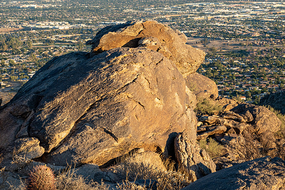 Arizona 2020