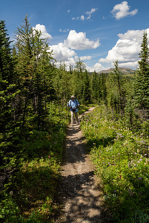 Banff National Park 2025