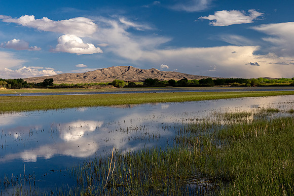 New Mexico 2025