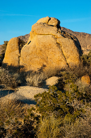 Joshua Tree National Park