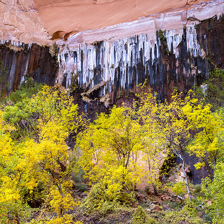 Zion National Park 2024