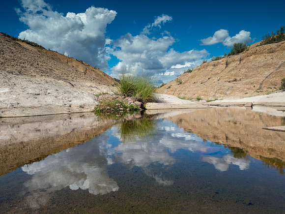 Arizona 2018