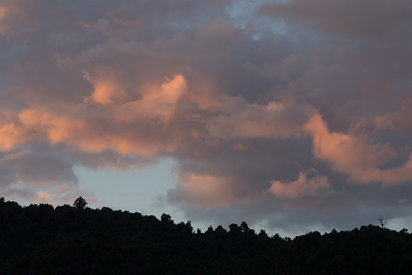 New Zealand 2013