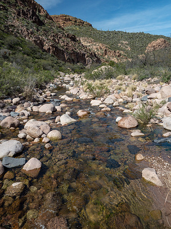 Arizona 2019