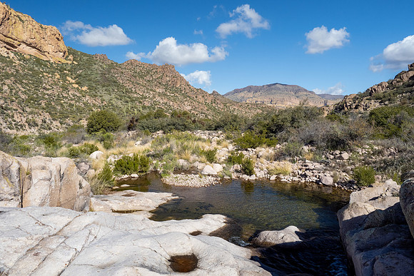 Arizona 2020