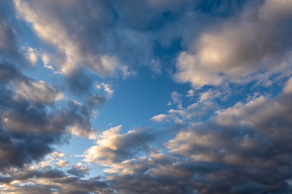 Arizona 2021
