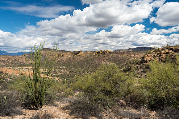 Arizona 2018