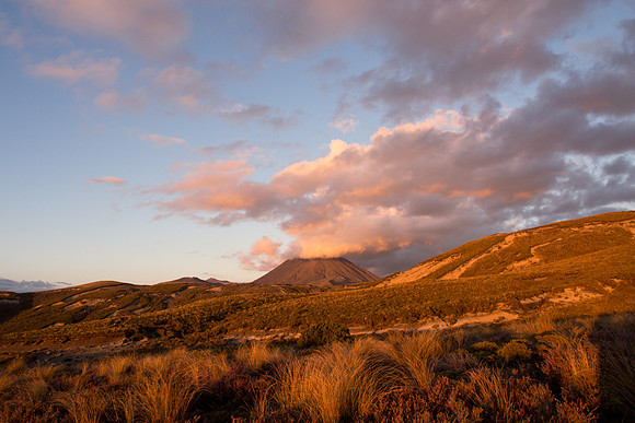 New Zealand 2013
