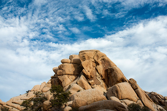 Joshua Tree National Park