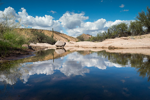 Arizona 2018