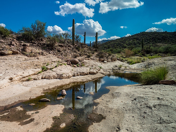 Arizona 2018