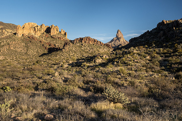 Arizona 2021