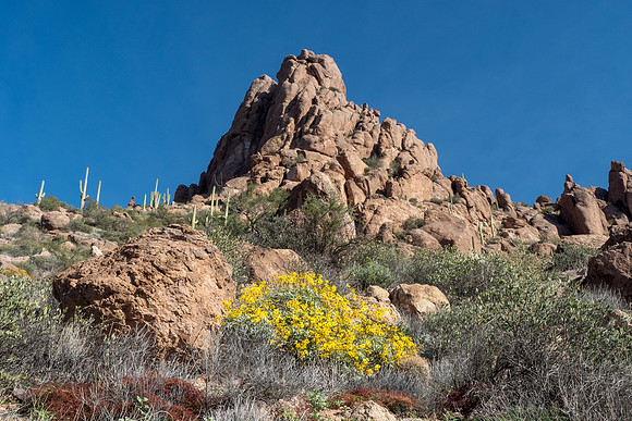 Arizona 2019
