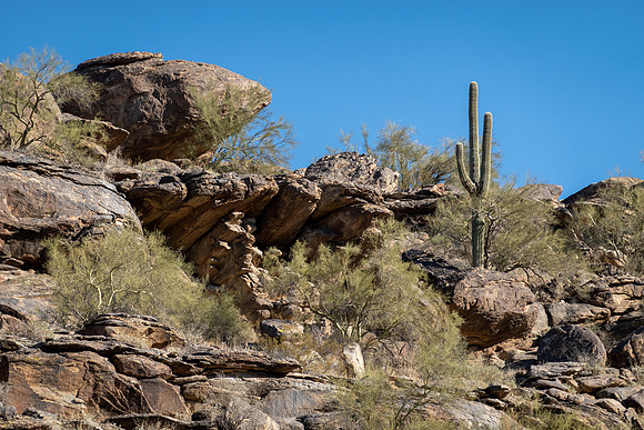 Arizona 2021