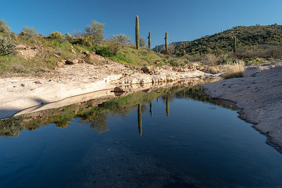 Arizona 2019