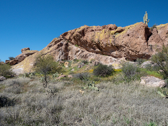 Arizona 2019
