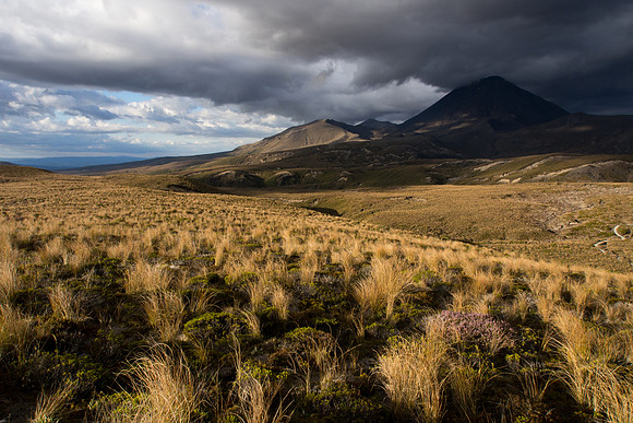 New Zealand 2013