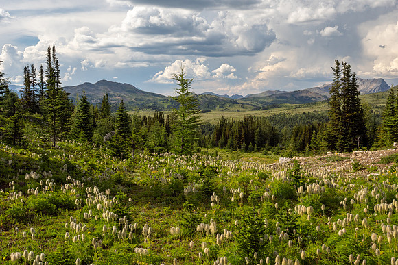 Banff National Park 2025