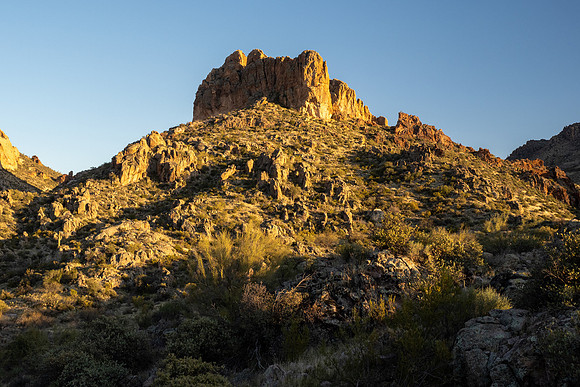 Arizona 2021