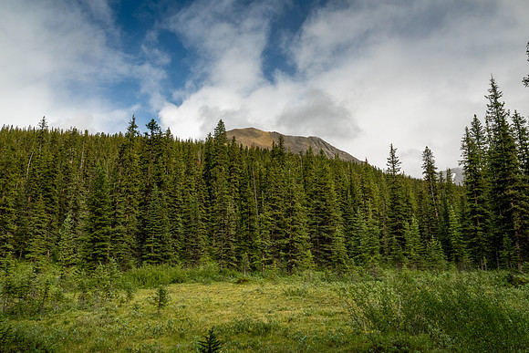 Banff National Park 2025