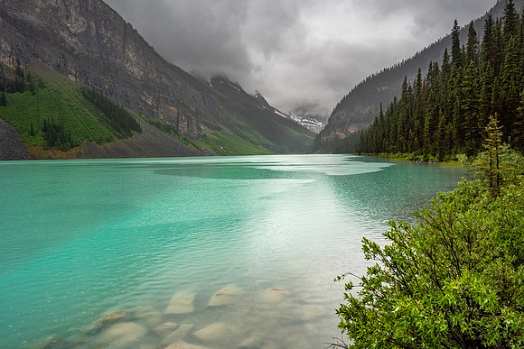 Pacific NW 2019