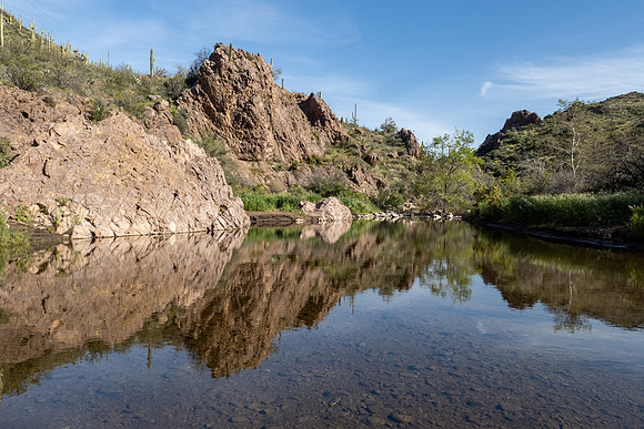 Arizona 2020
