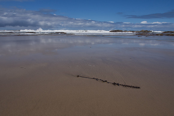 New Zealand 2013