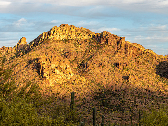 Arizona 2019