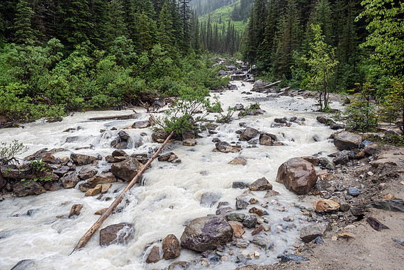 Pacific NW 2019