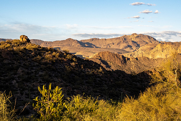Arizona 2021