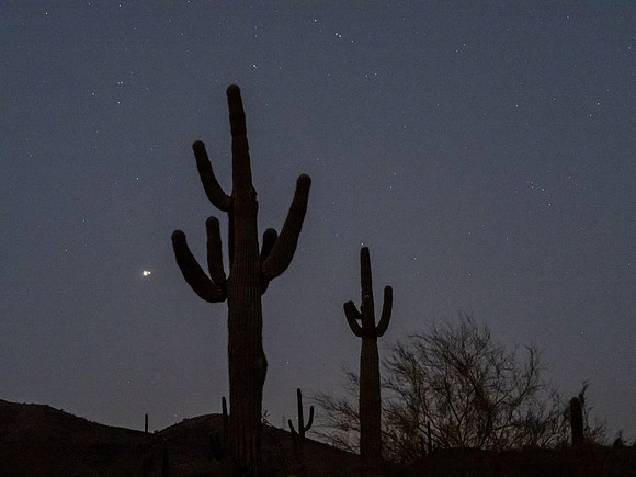 Arizona 2020