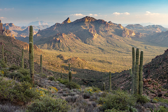 Arizona 2019
