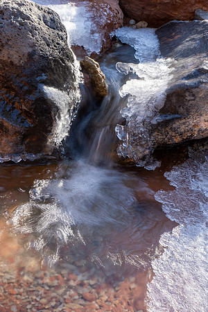 Zion National Park 2024