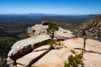 Mogollon Rim Hike (May 2021)