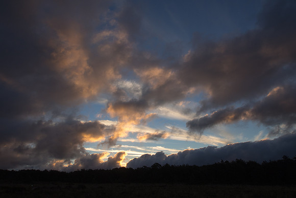 New Zealand 2013