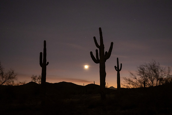 Arizona 2021
