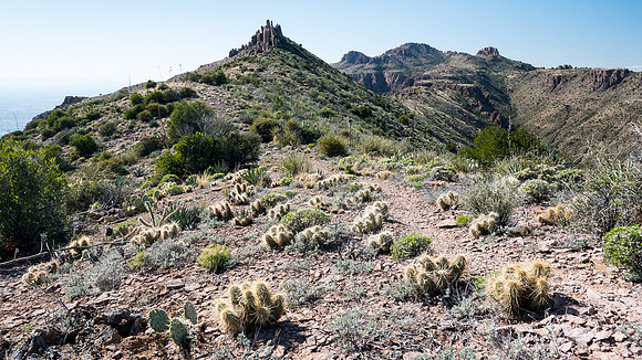 Arizona 2015 - Superstitions Ridge Hike (Mar)